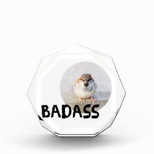 Sparrow - Badass Acrylic Award