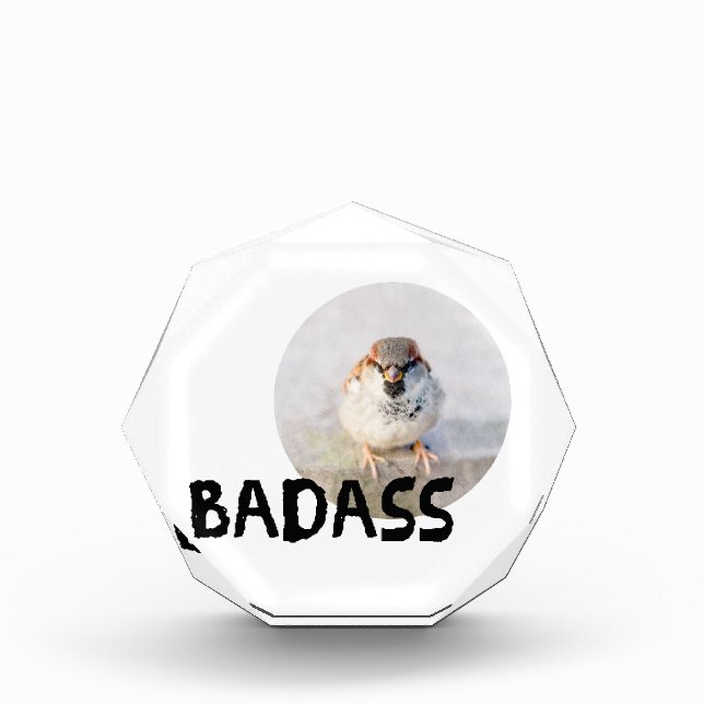 Sparrow - Badass Acrylic Award (Front)