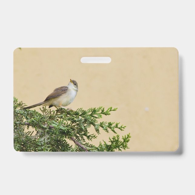 Sparrow  badge (Front)