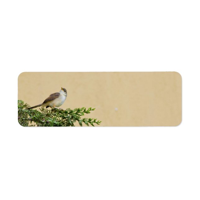 Sparrow Bird Artwork Label (Front)