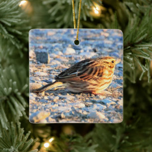 Sparrow Bird Ceramic Ornament