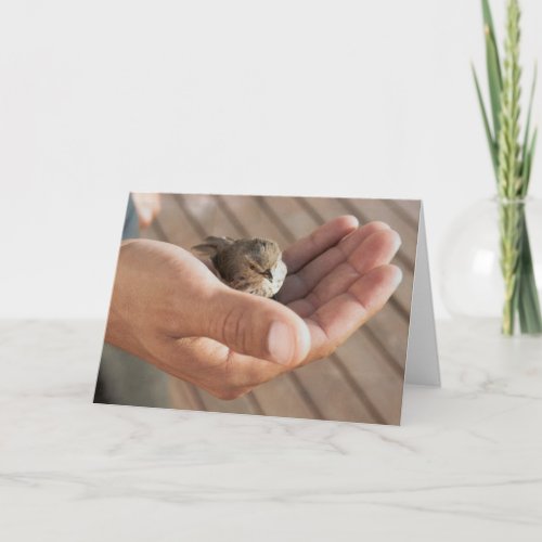 Sparrow bird Eye on the sparrow greeting card