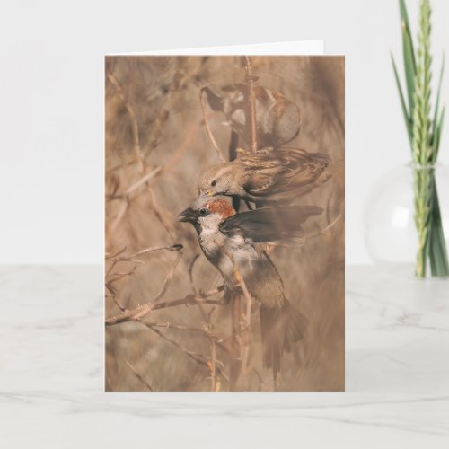 Sparrow Bird Funny Birdwatcher Retirement Congrats Card
