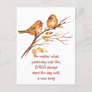 Sparrow Bird Inspirational Encouraging Quote   Postcard