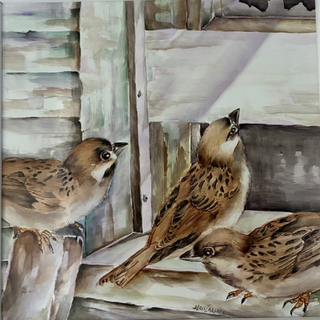 Sparrow Bird Notebook | Nature Journal Gift | NZ (House Sparrow Journals & Notebooks — Design by Nicky Bourke | thepapercraftstudio)