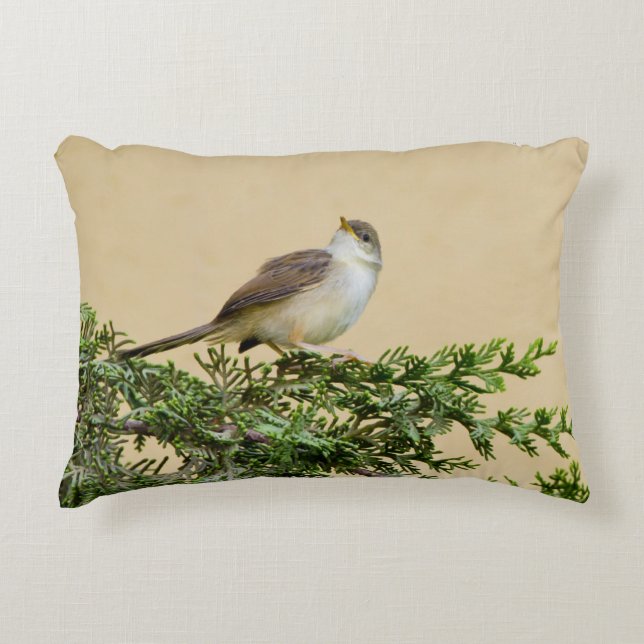 Sparrow Bird Photograph Accent Pillow (Front)