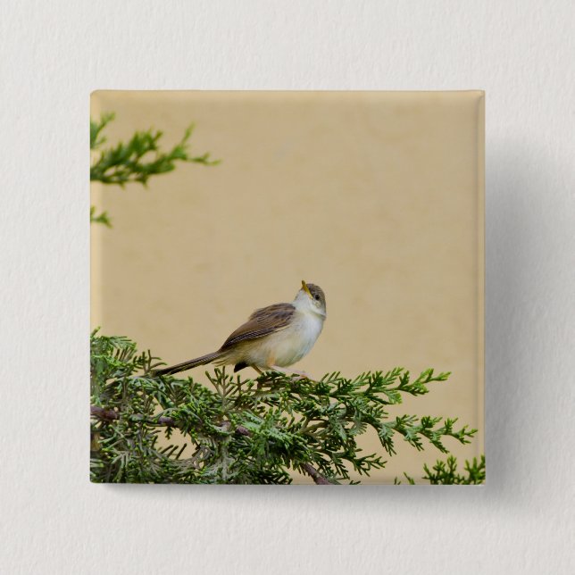 Sparrow Bird Photograph Button (Front)