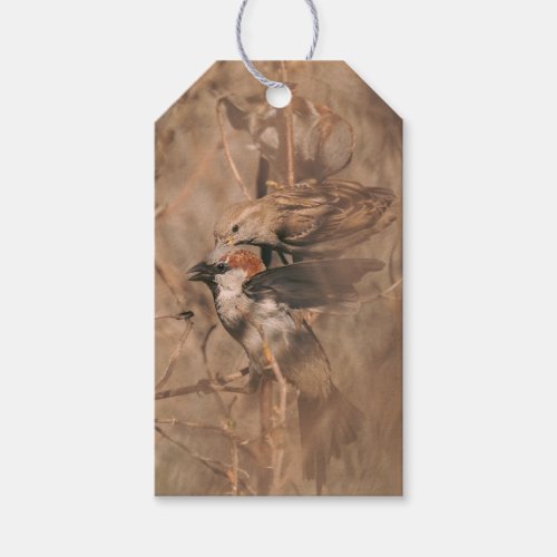 Sparrow Birds Funny Birdwatcher Retirement Party Gift Tags