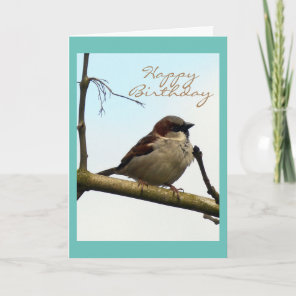 Sparrow Birthday card
