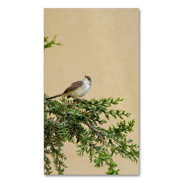 Sparrow  business card magnet (Front Vertical)