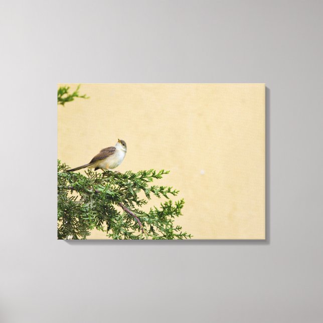 Sparrow Canvas Print (Front)