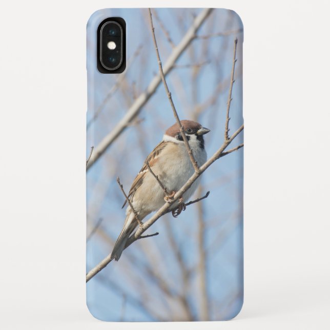 Sparrow Case-Mate iPhone Case (Back)