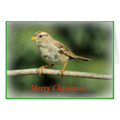 Sparrow Christmas Card (Front Horizontal)