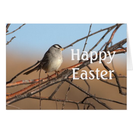 Sparrow happy Easter (Front Horizontal)