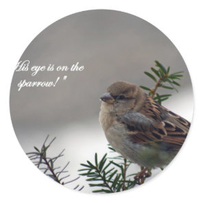 Sparrow, His eye is on the Sparrow! Classic Round Sticker