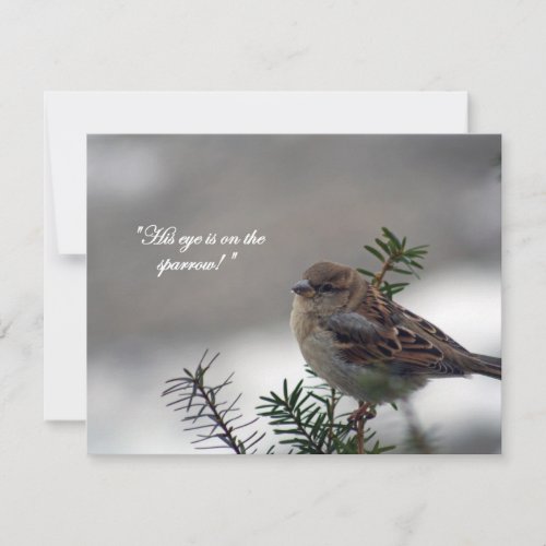 Sparrow His eye is on the Sparrow Holiday Card