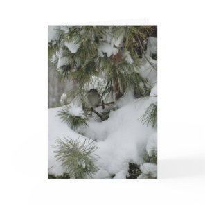Sparrow In Snowy Evergreen Card