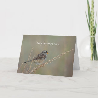 Sparrow in the Grass 2 Greeting Card