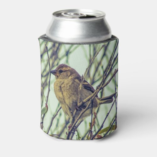 Sparrow in Tree Photo Can Cooler