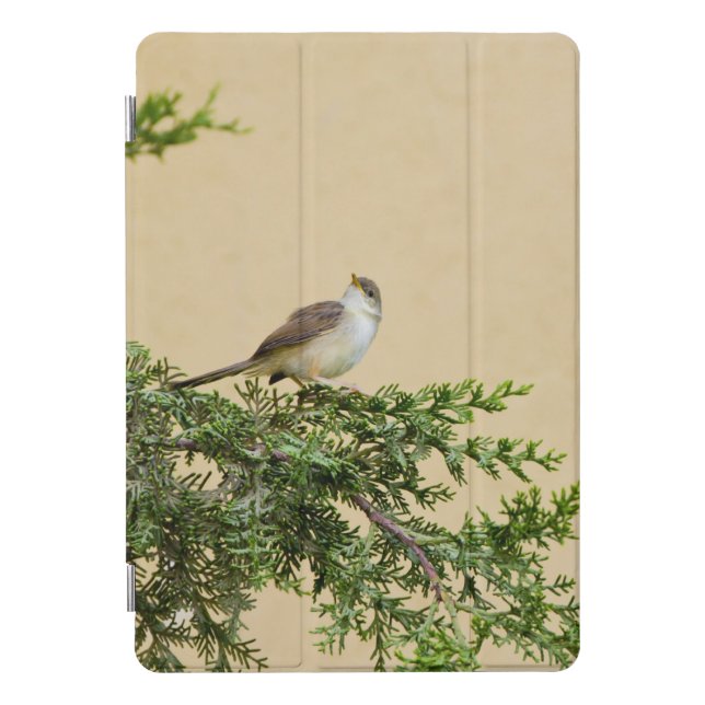 Sparrow  iPad pro cover (Front)