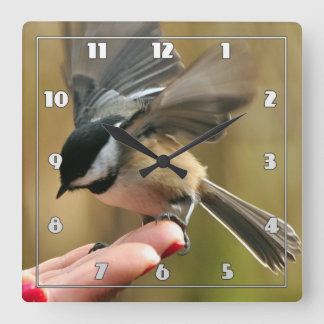 Sparrow is landing on my wife's hand  Square Wall Clock