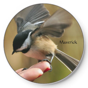 Sparrow is landing on my wife's hand Wireless Charger