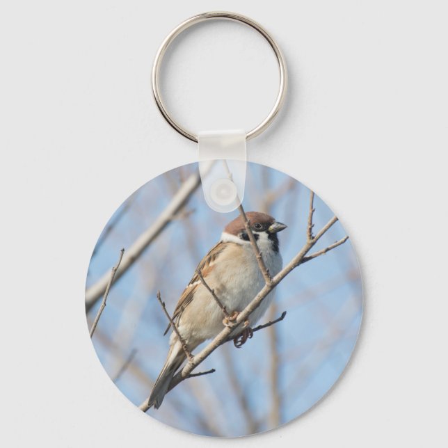 Sparrow Keychain (Front)
