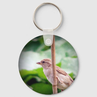 Sparrow Keychain
