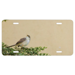 Sparrow  license plate