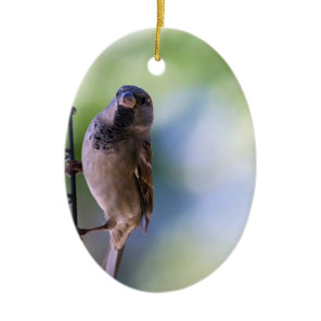 Sparrow Moment for Me Ceramic Ornament
