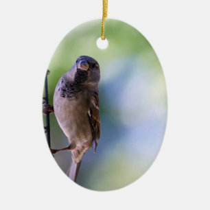 Sparrow Moment for Me Ceramic Ornament