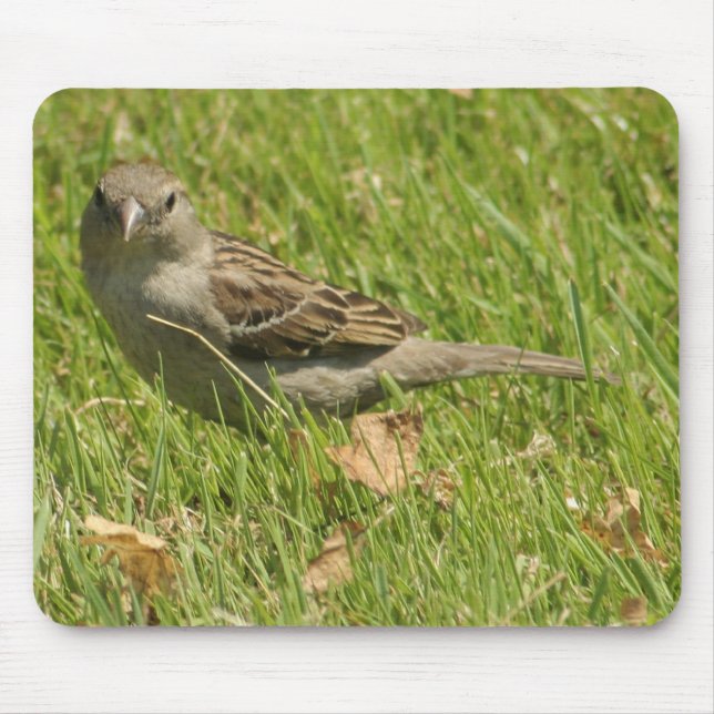sparrow mouse pad (Front)