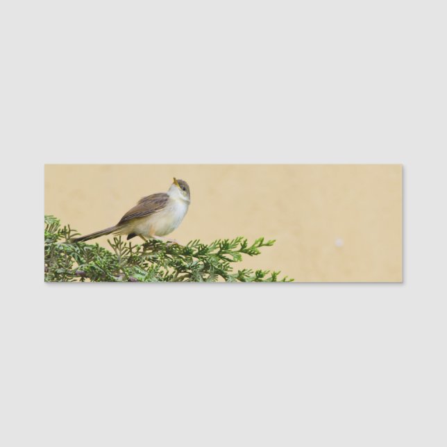 Sparrow  name tag (Front)