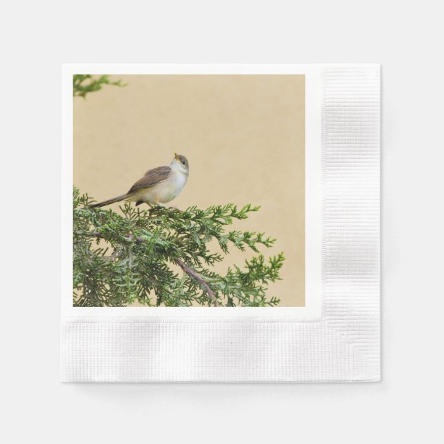 Sparrow  napkins (Front)