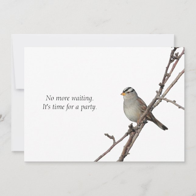 Sparrow on a branch Party Invitation (Front)