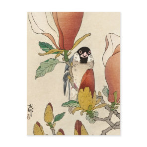 Sparrow on Blooming Magnolia Branch by Ohara Koson Postcard
