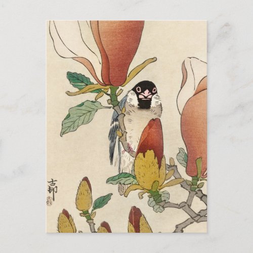 Sparrow on Blooming Magnolia Branch by Ohara Koson Postcard