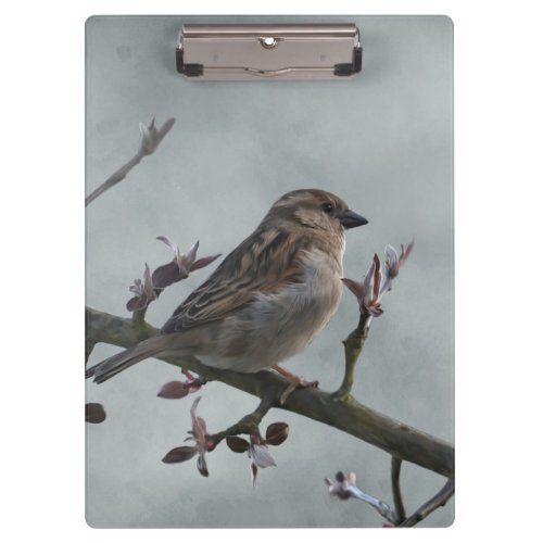 Sparrow on Branch Clipboard