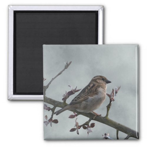 Sparrow on Branch Photo Magnet