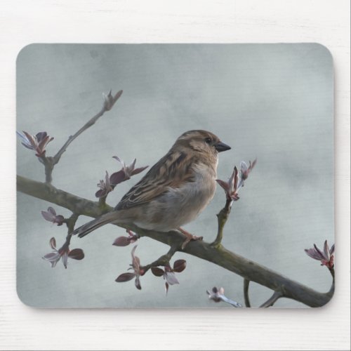 Sparrow on Branch Photo Mouse Pad