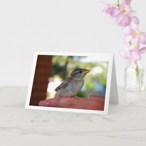 Sparrow on Finger Card