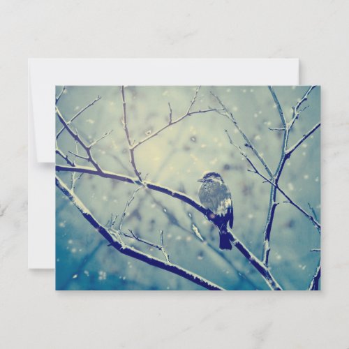 Sparrow on the snowy branch holiday card