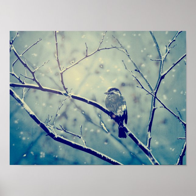 Sparrow on the snowy branch poster (Front)