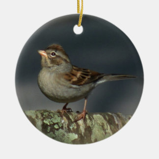 Sparrow Ornament