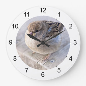 Sparrow - Overweight Large Clock