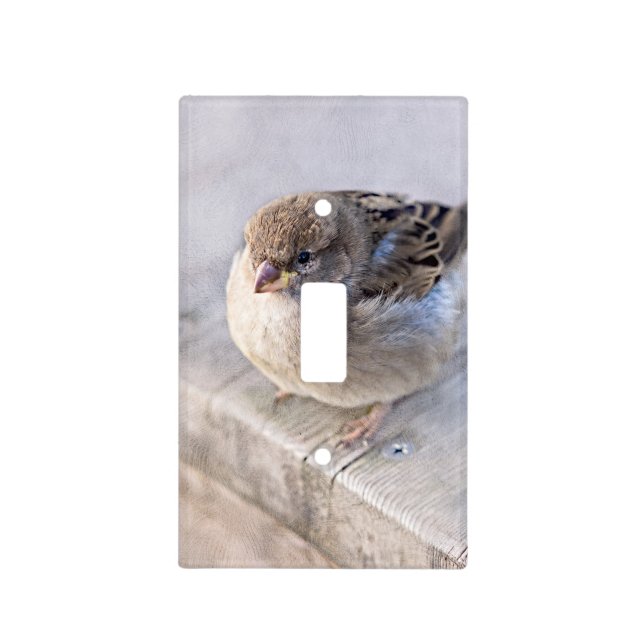 Sparrow - Overweight Light Switch Cover (Front)
