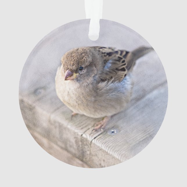 Sparrow - Overweight Ornament (Back)
