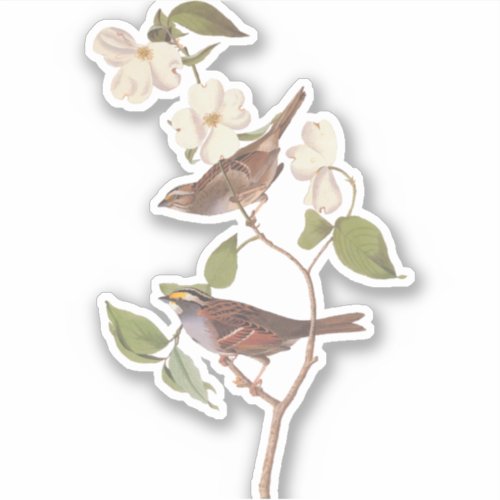 Sparrow Pair Sticker