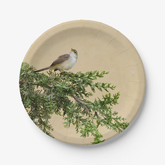 Sparrow  paper plates (Front)