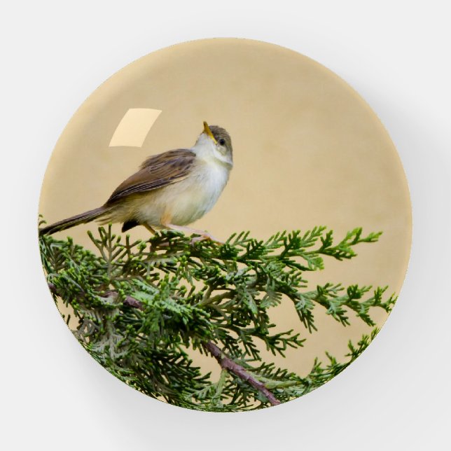 Sparrow  paperweight (Front)